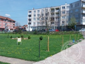 dvoriste mss kalesija