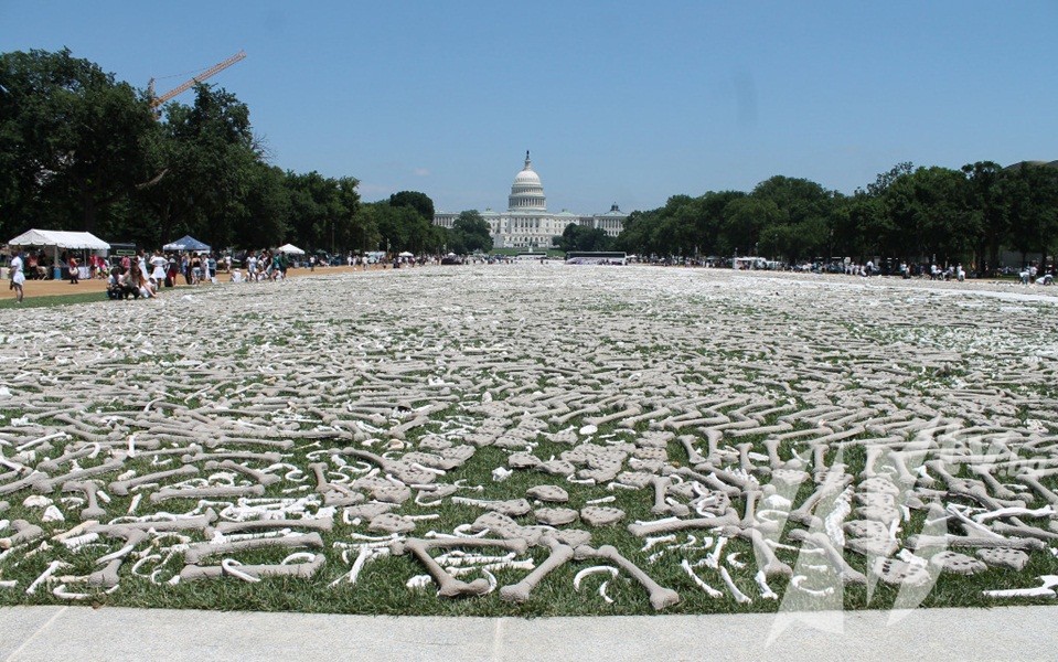 8994165968_96e8f32f7a_k-1024x641