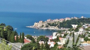 11815702_729045807241371_178529765_n