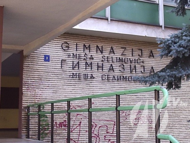 gimnazija