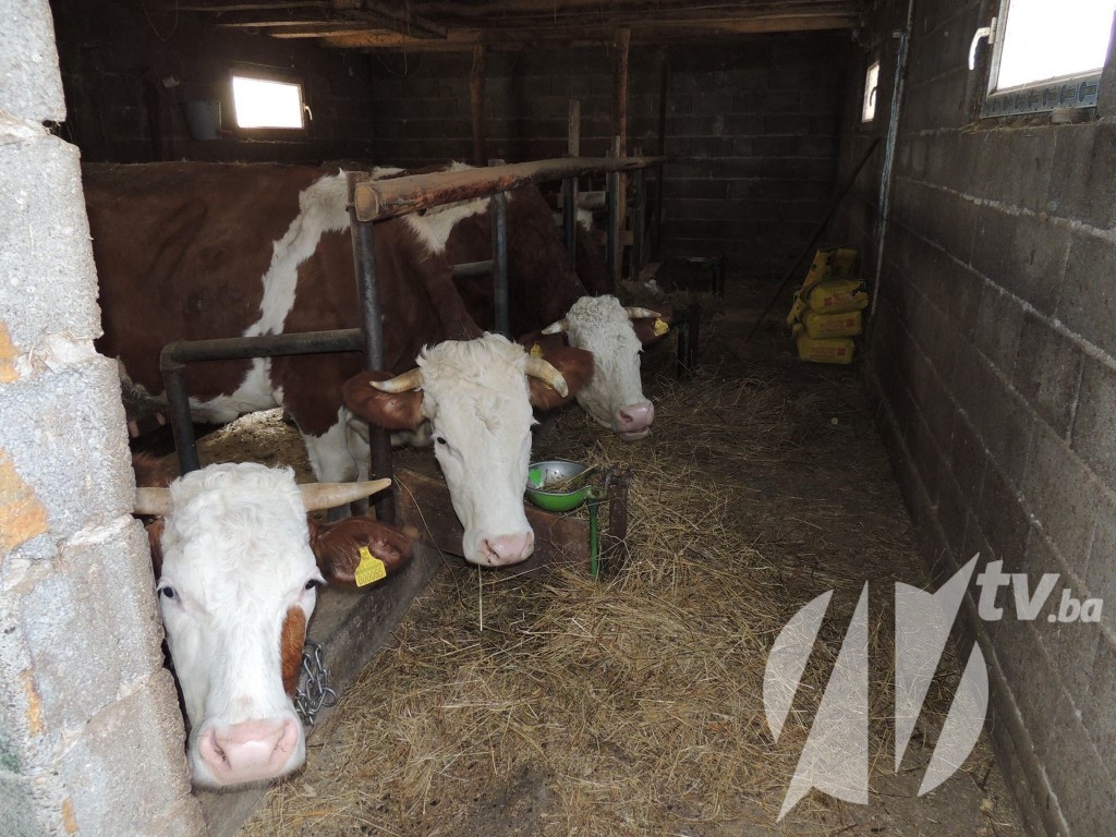 12597121_424161797789711_1196511187_o