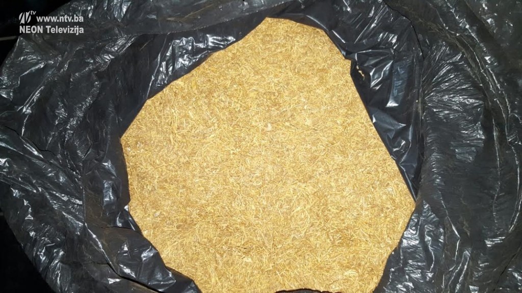 943537a7-3b53-4c35-8e60-6ed582e25449