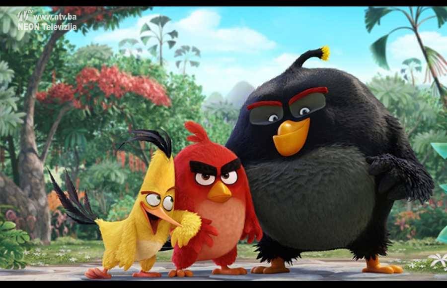 13138948_473253352864495_8031792645575238199_n