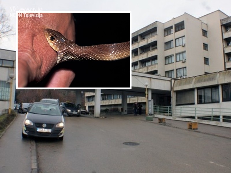 Kasim i Osmijeh nade001