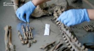 identifikacija-zrtava-rata-696x381