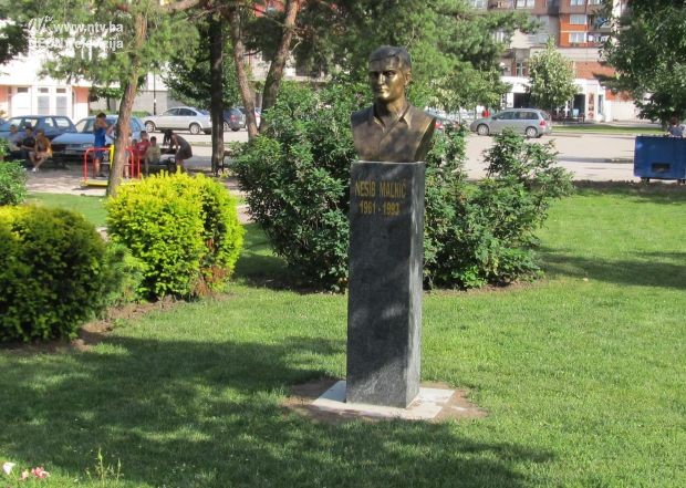nesib malkic