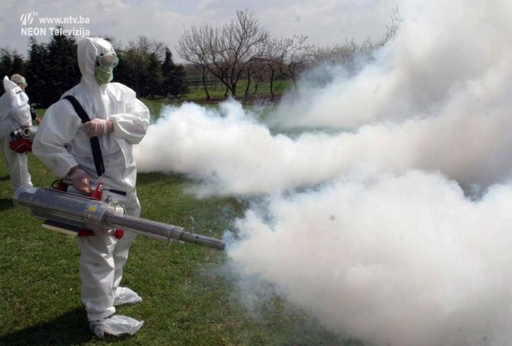 zaprasivanje-komarci-foto-beta-1410779775-568295