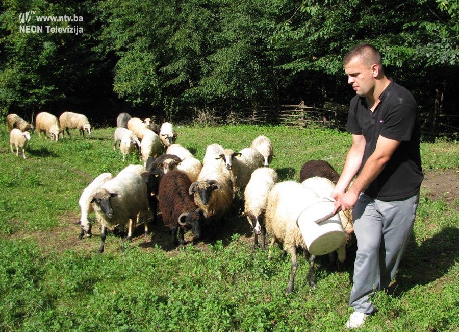 Mehrudin Šabić iz Zvornika: Vrijedni mladić pola dana ljekar, pola dana čoban