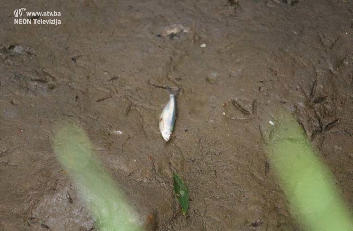 pomor-ribe-2-696x456