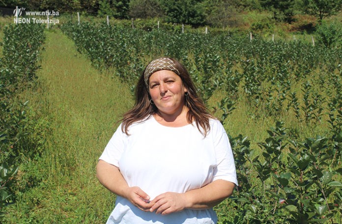 mevlida-mehanovic1-696x456