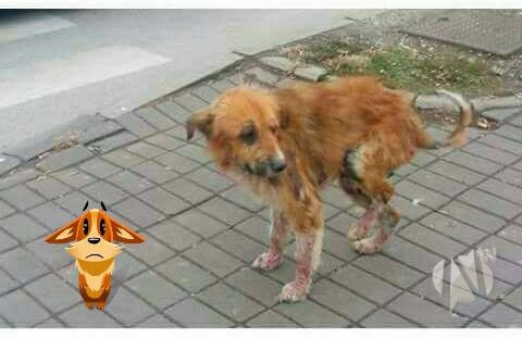 15027979_10210258450725009_4844490185362434893_n