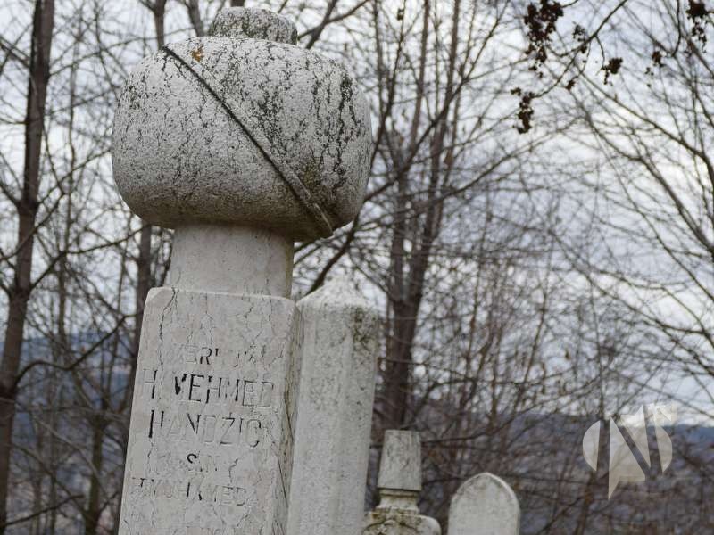 mehmed-handzic-100-godina