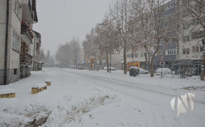 5688f252-bcb4-4968-a65f-62340a0a0a64-dsc-1613-718x446