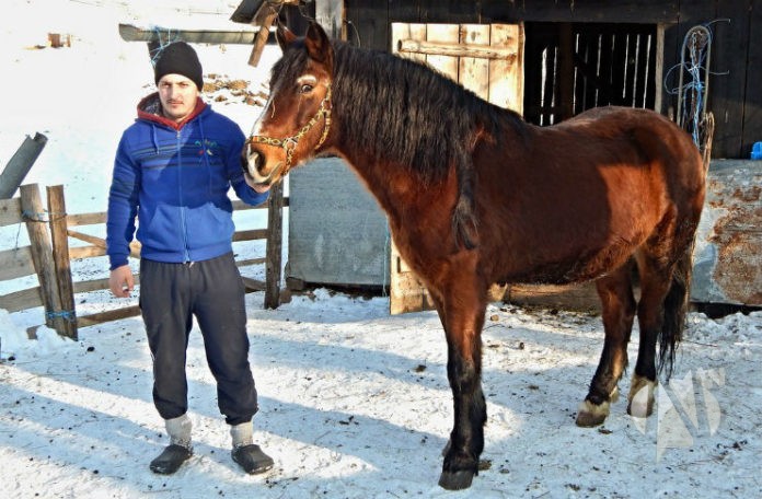 prozor-rama-braca-andricic2-696x456