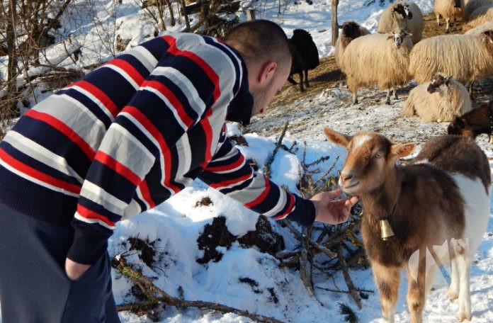 prozor-rama-braca-andricic3-696x456